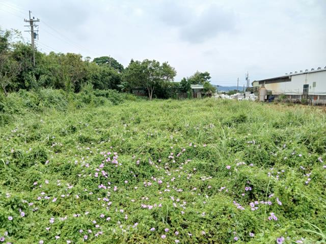 桃園楊梅農舍-7
