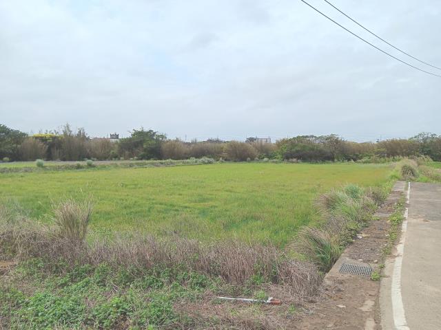 桃園農地-1