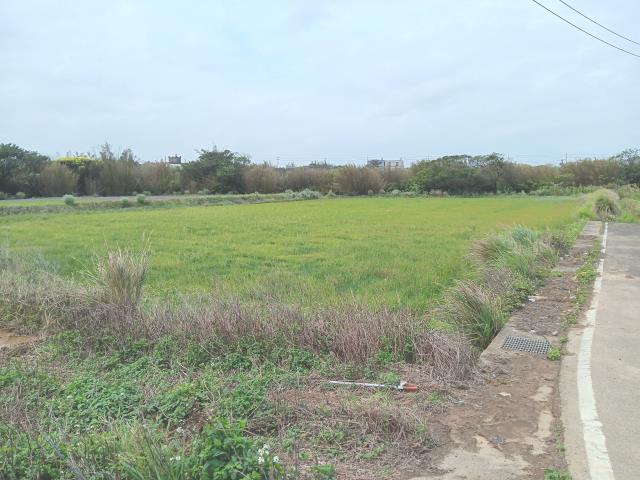桃園農地-2