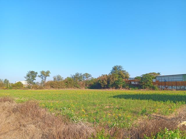 桃園新屋農地-0