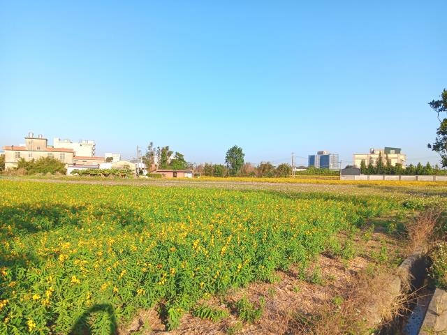 新屋農地-0