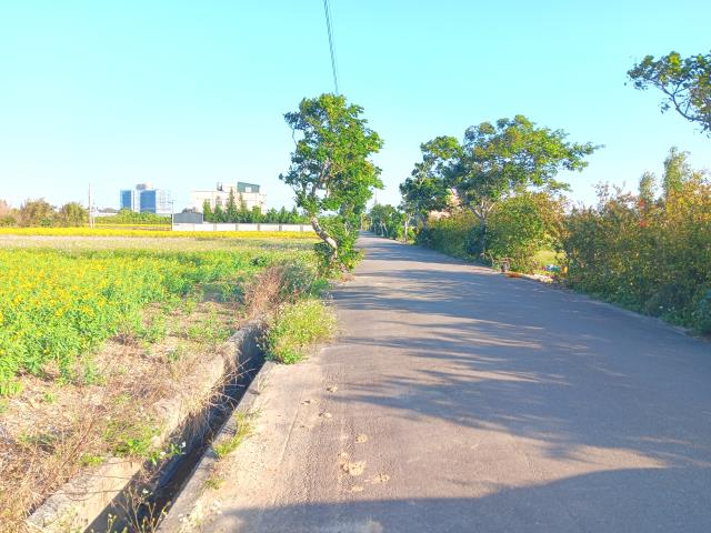 新屋農地-1