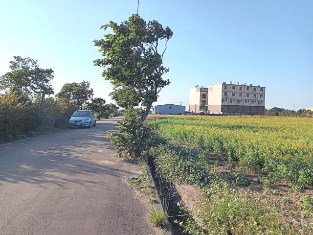 新屋農地-3