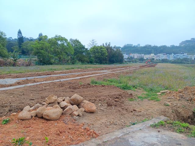 龍潭農地-5