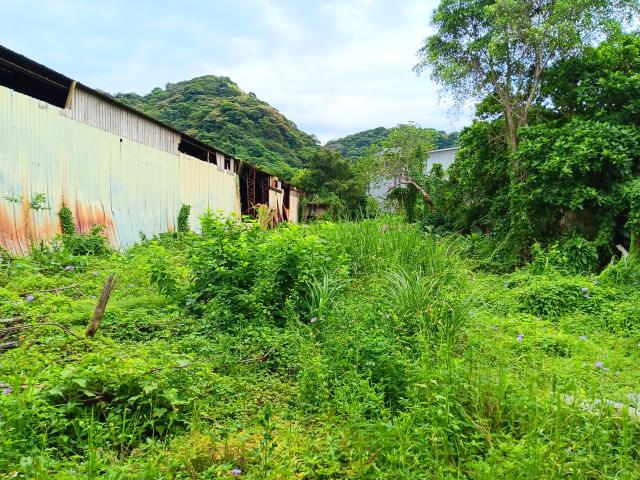 新北農地-10