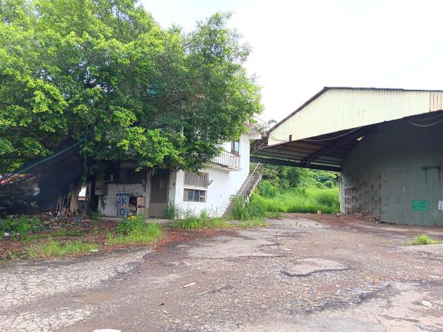 新北農地-3