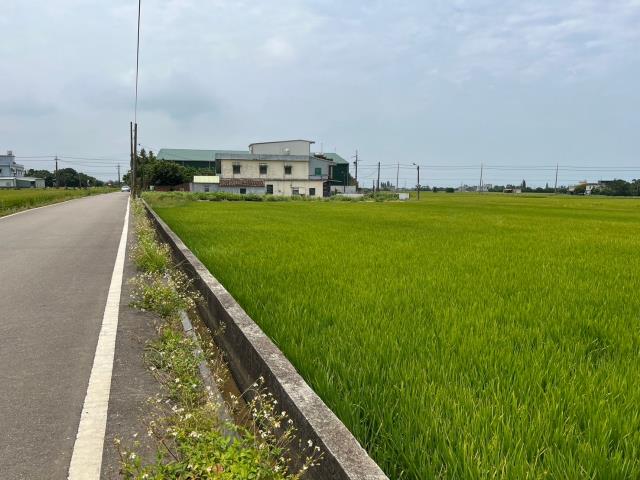 桃園新屋農地-3