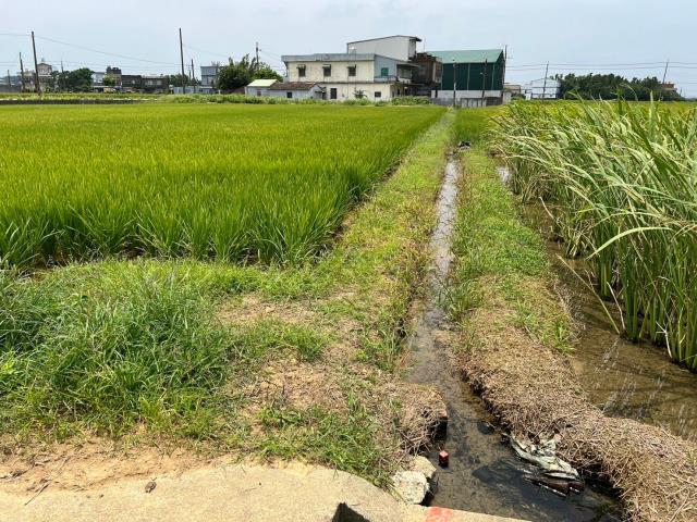 桃園新屋農地-6