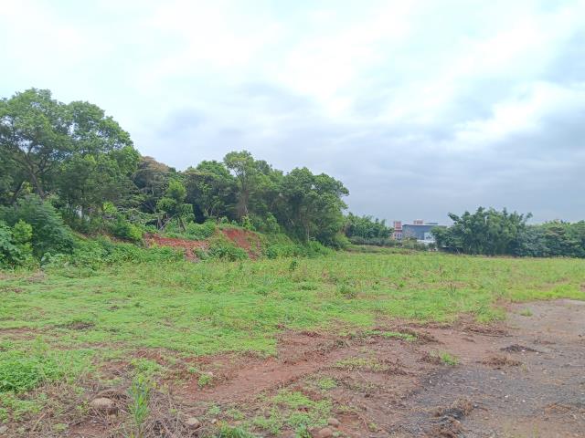 鶯歌工業地-2