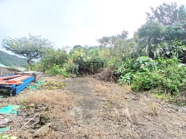 鶯歌農地-2