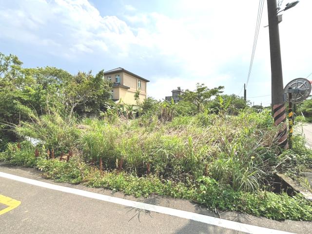 桃園農地-10