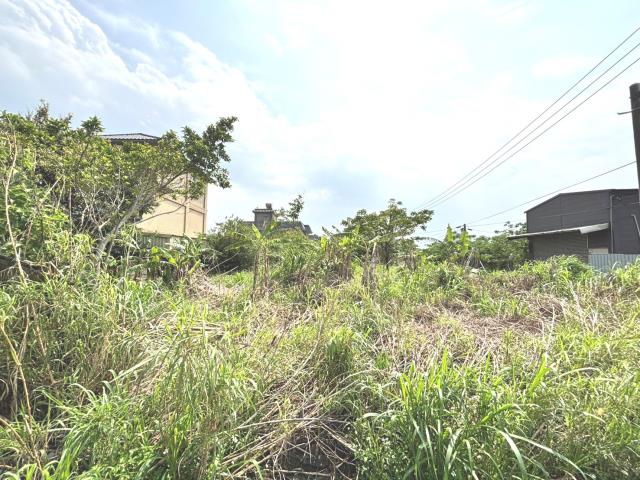 桃園農地-5