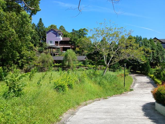新竹橫山農地-3