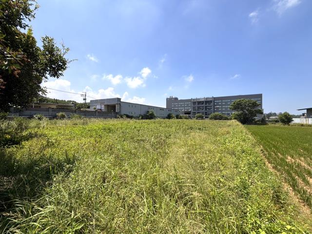 新豐農地-2