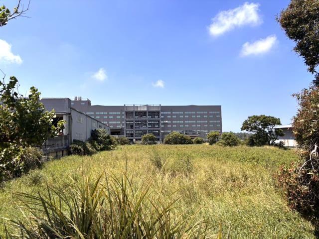 新豐農地-4