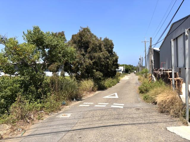 新豐農地-8