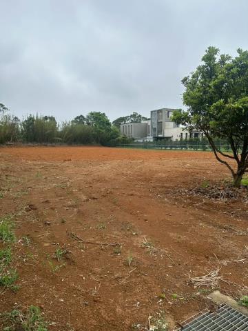 龍潭農地-1