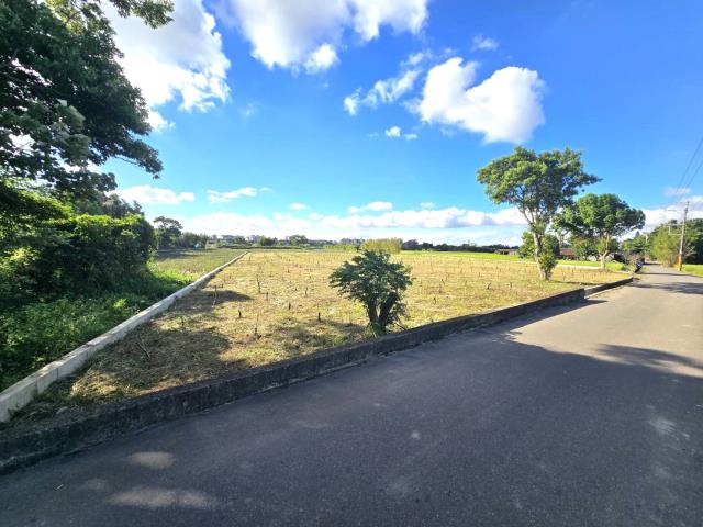 桃園平鎮農地-10