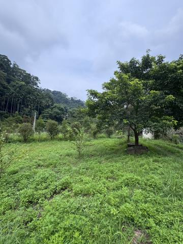 北埔農地-0