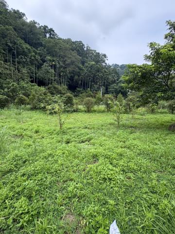 北埔農地-2
