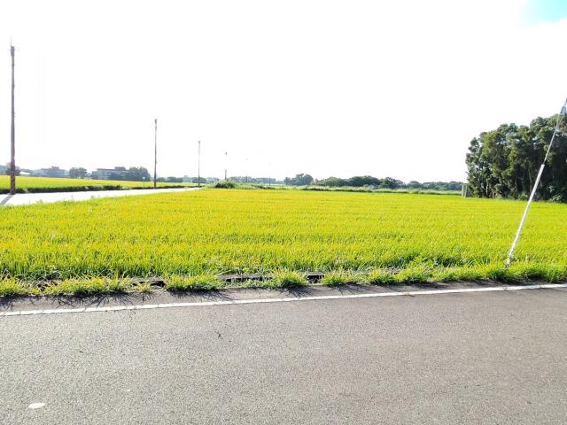 新屋農地-2
