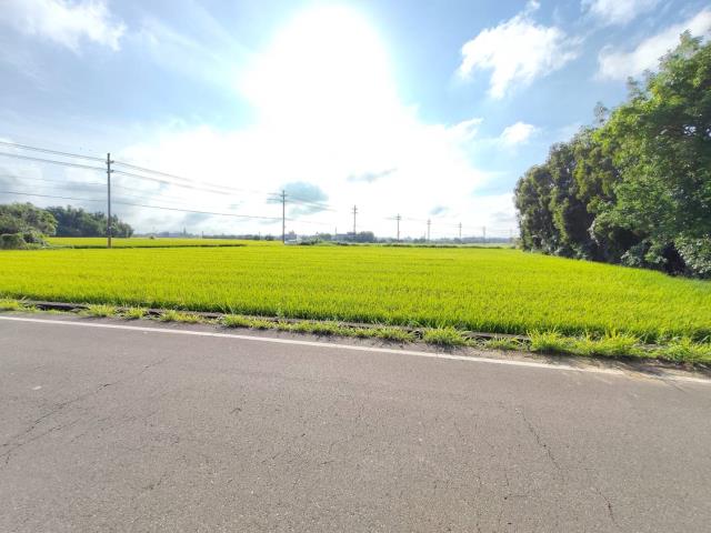 新屋農地-4