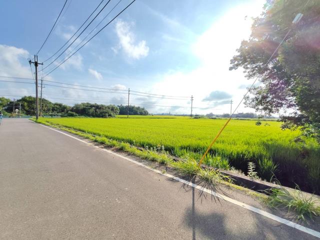 新屋農地-5