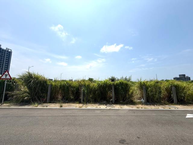 桃園建地-1
