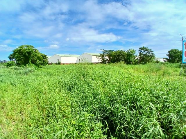 桃園大園農地-5