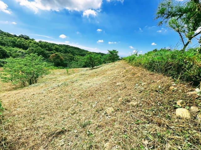 楊梅農地-9