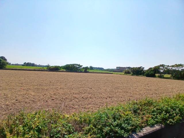 桃園觀音農地-2